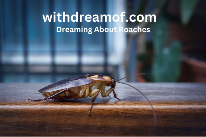 Dreaming About Roaches